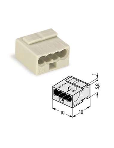 VELWG243304