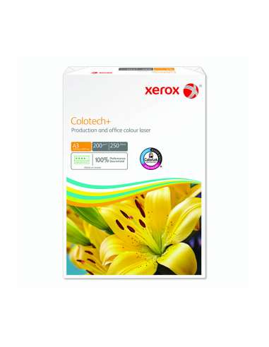 XER003R97968/UN