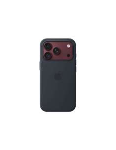 TIC13431140