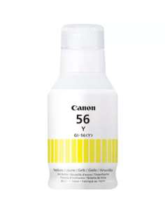 CANGI56Y