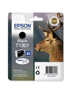 EPSC13T13014010