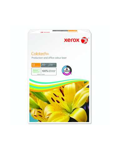 XER003R97968/UN