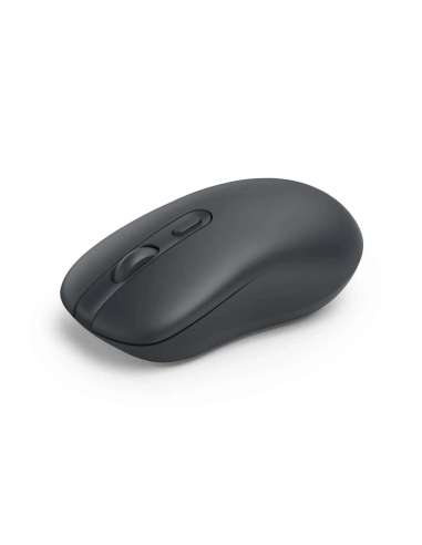 HAM173075