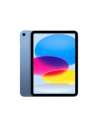 Tablets e Pads